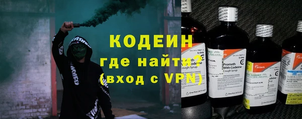 ECSTASY Богданович