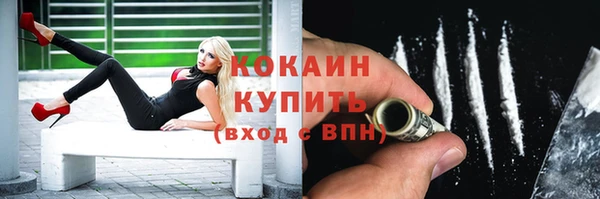 ECSTASY Богданович