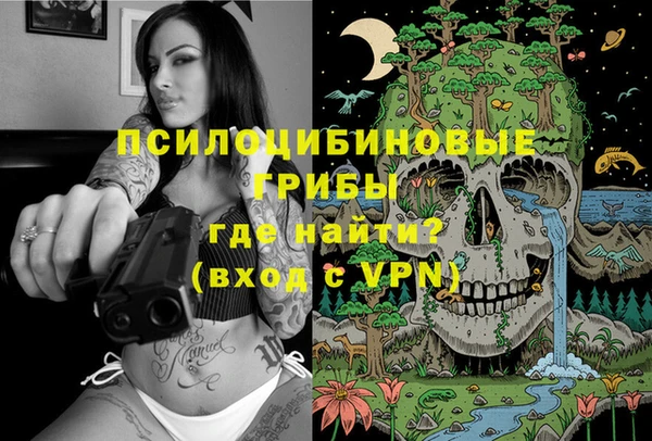 мдма Богородск