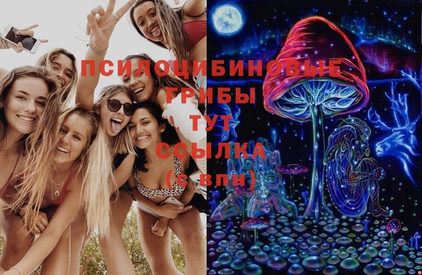 ECSTASY Богданович