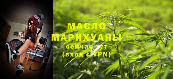 ECSTASY Богданович