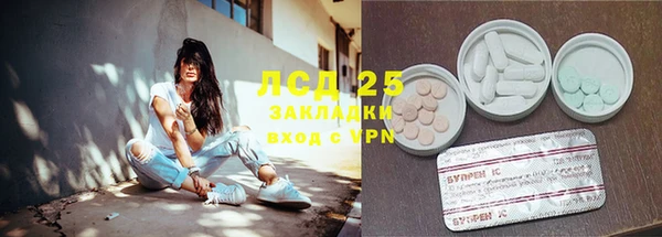 ECSTASY Богданович