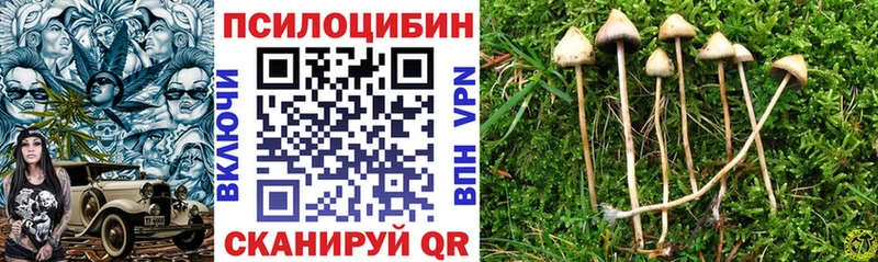 наркошоп  darknet наркотические препараты  Псилоцибиновые грибы Cubensis  Уссурийск 